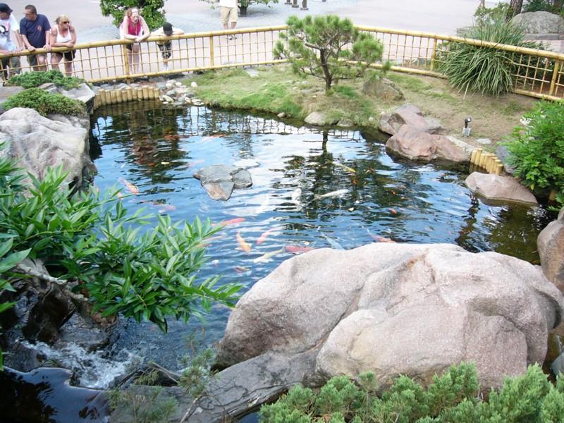 Japan Koi Pond.JPG